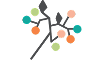 Colorful Branch